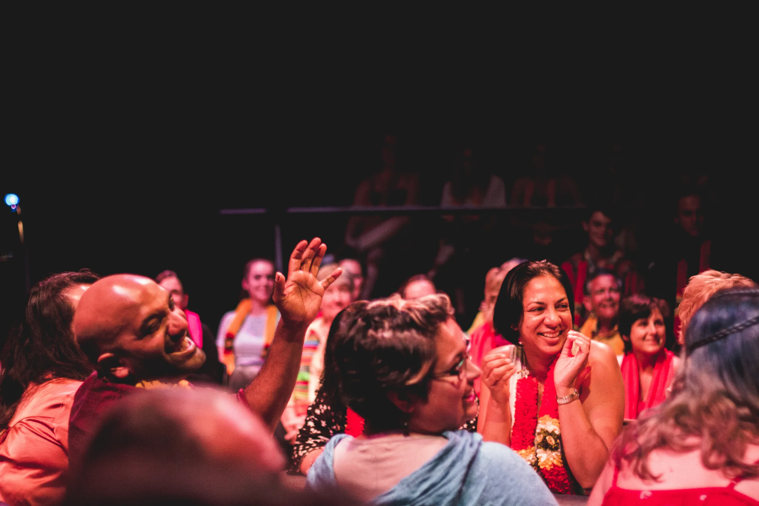 Audience shot of Mrs Krishnan's party having a good time. Photo Credit Ankita Singh